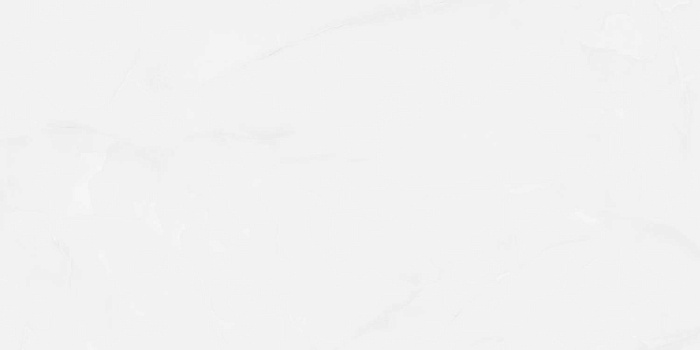 Керамогранит "Wan Sheng" Glazed (1200*600 мм) Серый D12617 — купить в Екатеринбурге