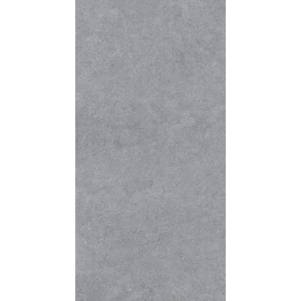 Керамогранит "Sonex" Forever Gris Matt 60x120x0.82 матовый цвет серый камень — купить в Екатеринбурге