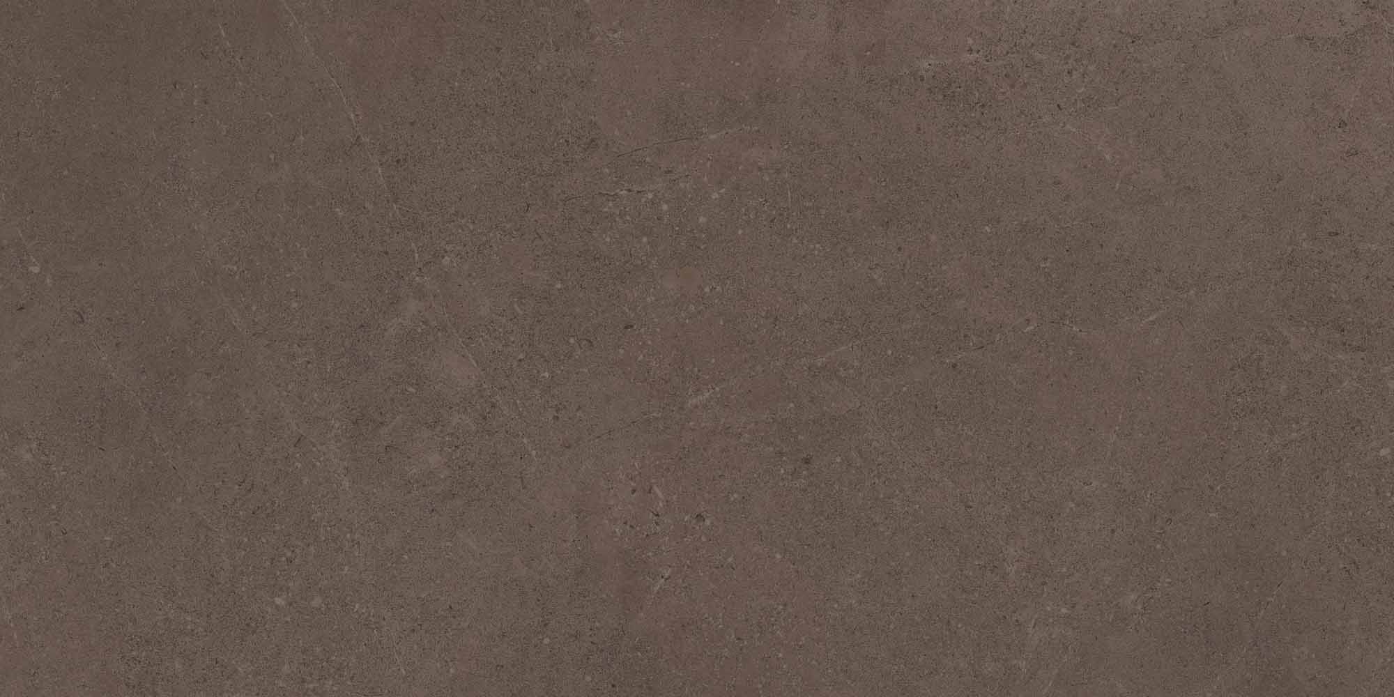 Керамогранит Gobi Brown Grey 600x1200 неполированный ректификат GO03 — купить в Екатеринбурге